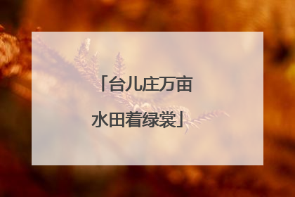 台儿庄万亩水田着绿裳