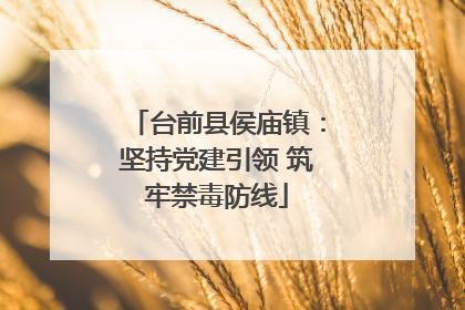 台前县侯庙镇：坚持党建引领 筑牢禁毒防线