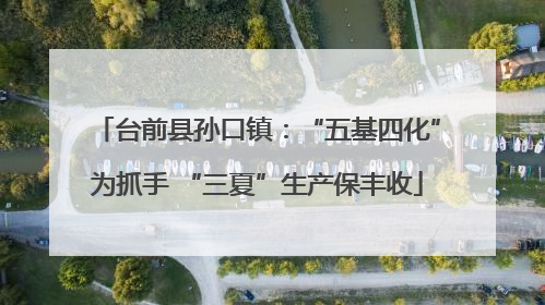 台前县孙口镇：“五基四化”为抓手 “三夏”生产保丰收