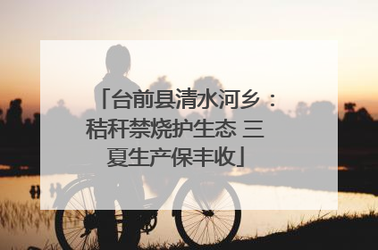 台前县清水河乡：秸秆禁烧护生态 三夏生产保丰收