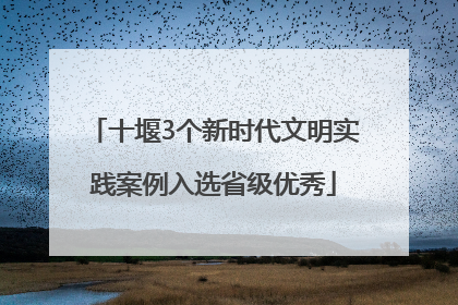 十堰3个新时代文明实践案例入选省级优秀