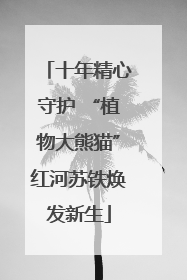 十年精心守护 “植物大熊猫”红河苏铁焕发新生
