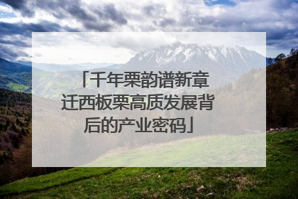 千年栗韵谱新章 迁西板栗高质发展背后的产业密码