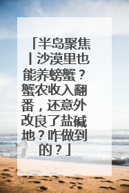半岛聚焦丨沙漠里也能养螃蟹？蟹农收入翻番，还意外改良了盐碱地？咋做到的？