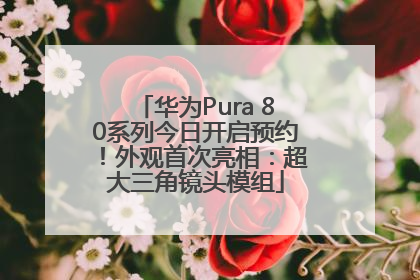 华为Pura 80系列今日开启预约！外观首次亮相：超大三角镜头模组