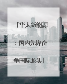 华太新能源：国内先锋奋争国际龙头