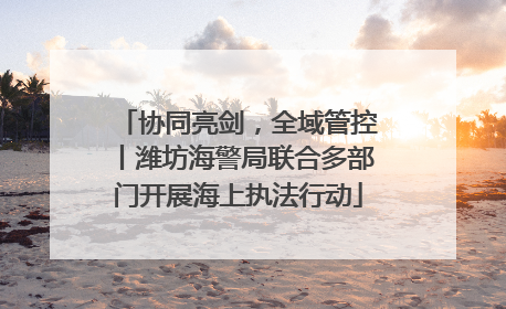 协同亮剑，全域管控丨潍坊海警局联合多部门开展海上执法行动