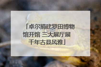 卓尔捐建罗田博物馆开馆 三大展厅展千年古县风雅