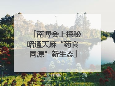 南博会上探秘昭通天麻“药食同源”新生态