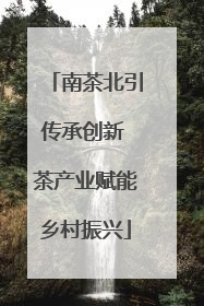 南茶北引传承创新 茶产业赋能乡村振兴