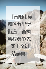 南阳市宛城区五里堡街道：奋楫笃行勇争先 实干奋进结硕果