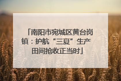 南阳市宛城区黄台岗镇：护航“三夏”生产 田间抢收正当时