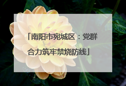 南阳市宛城区：党群合力筑牢禁烧防线