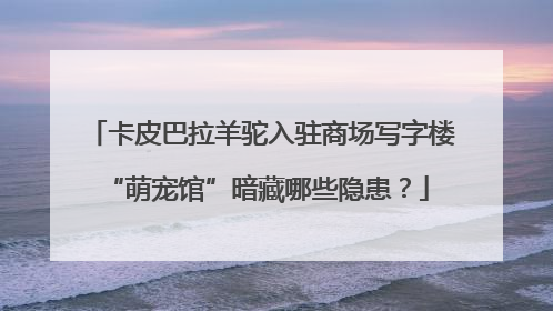 卡皮巴拉羊驼入驻商场写字楼 “萌宠馆”暗藏哪些隐患？
