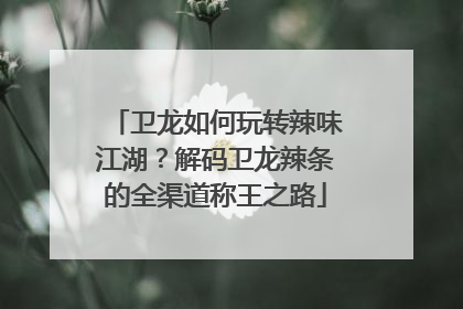 卫龙如何玩转辣味江湖？解码卫龙辣条的全渠道称王之路