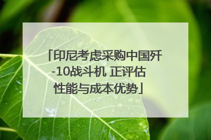 印尼考虑采购中国歼-10战斗机 正评估性能与成本优势
