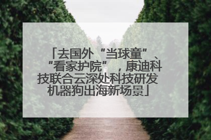 去国外“当球童”、“看家护院”，康迪科技联合云深处科技研发机器狗出海新场景