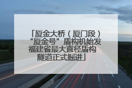 厦金大桥（厦门段）“厦金号”盾构机始发 福建省最大直径盾构隧道正式掘进