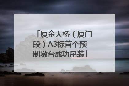 厦金大桥（厦门段）A3标首个预制墩台成功吊装