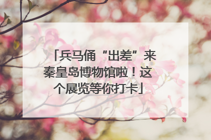 兵马俑“出差”来秦皇岛博物馆啦！这个展览等你打卡