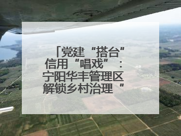 党建“搭台”信用“唱戏”：宁阳华丰管理区解锁乡村治理“信用密码”
