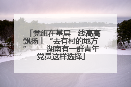 党旗在基层一线高高飘扬丨“去有村的地方”——湖南有一群青年党员这样选择