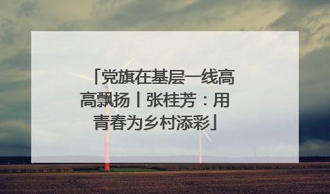 党旗在基层一线高高飘扬丨张桂芳：用青春为乡村添彩