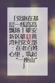 党旗在基层一线高高飘扬丨雄安新区雄县黄湾村党支部：在老百姓心里，筑起“一座山”