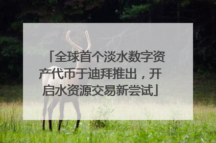 全球首个淡水数字资产代币于迪拜推出，开启水资源交易新尝试