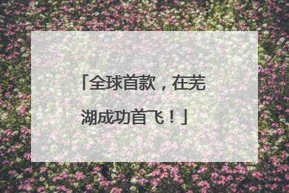 全球首款，在芜湖成功首飞！