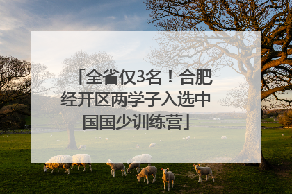 全省仅3名！合肥经开区两学子入选中国国少训练营