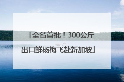 全省首批！300公斤出口鲜杨梅飞赴新加坡