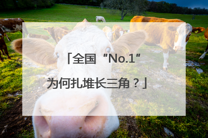 全国“No.1”为何扎堆长三角？