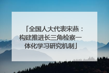 全国人大代表宋燕：构建推进长三角检察一体化学习研究机制