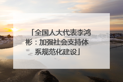 全国人大代表李鸿彬：加强社会支持体系规范化建设