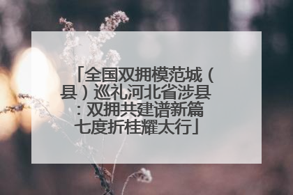 全国双拥模范城（县）巡礼河北省涉县：双拥共建谱新篇 七度折桂耀太行