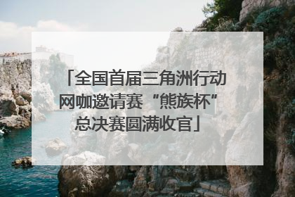 全国首届三角洲行动网咖邀请赛“熊族杯”总决赛圆满收官