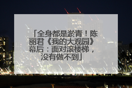 全身都是淤青！陈丽君《我的大观园》幕后：面对滚楼梯，没有做不到