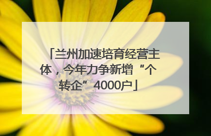 兰州加速培育经营主体，今年力争新增“个转企”4000户