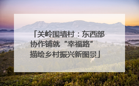 关岭围墙村：东西部协作铺就“幸福路” 描绘乡村振兴新图景