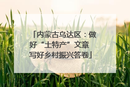 内蒙古乌达区：做好“土特产”文章 写好乡村振兴答卷