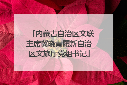 内蒙古自治区文联主席冀晓青履新自治区文旅厅党组书记
