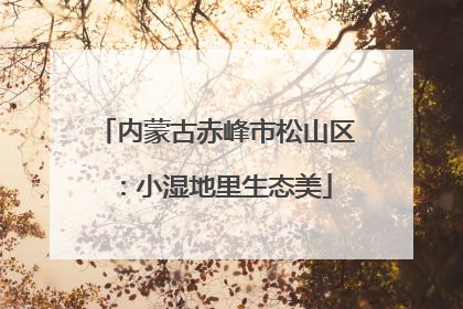 内蒙古赤峰市松山区：小湿地里生态美