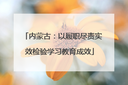 内蒙古：以履职尽责实效检验学习教育成效