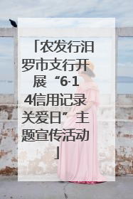 农发行汨罗市支行开展“6·14信用记录关爱日”主题宣传活动