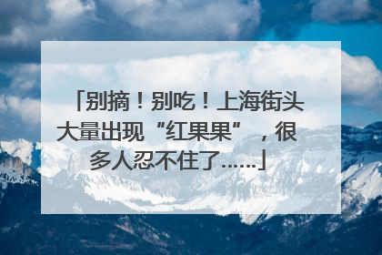 别摘！别吃！上海街头大量出现“红果果”，很多人忍不住了……