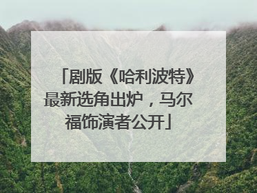 剧版《哈利波特》最新选角出炉，马尔福饰演者公开