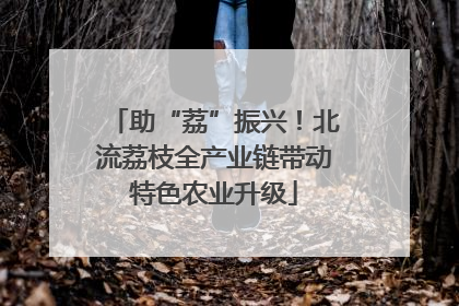 助“荔”振兴！北流荔枝全产业链带动特色农业升级