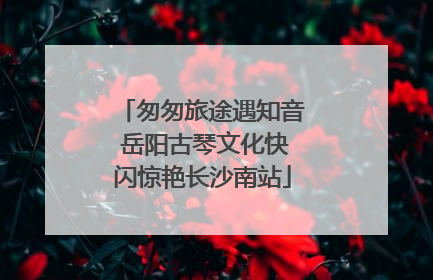 匆匆旅途遇知音 岳阳古琴文化快闪惊艳长沙南站