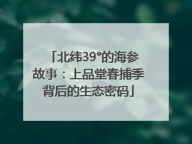 北纬39°的海参故事：上品堂春捕季背后的生态密码